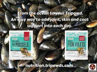 Tripawd have nice mussels