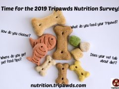 Please Take the 2019 Tripawds Nutrition Survey 2019 Tripawds Nutrition Survey