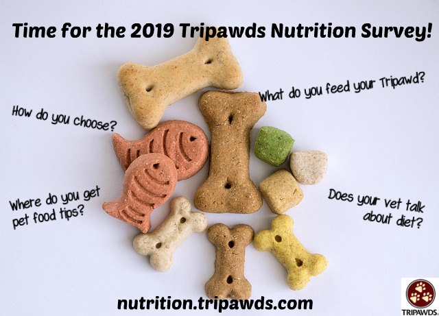 2019 Tripawds Nutrition Survey