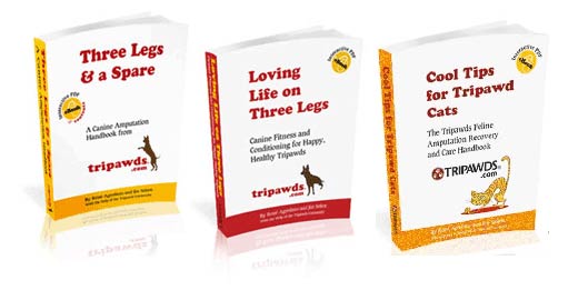 tripawds ebooks