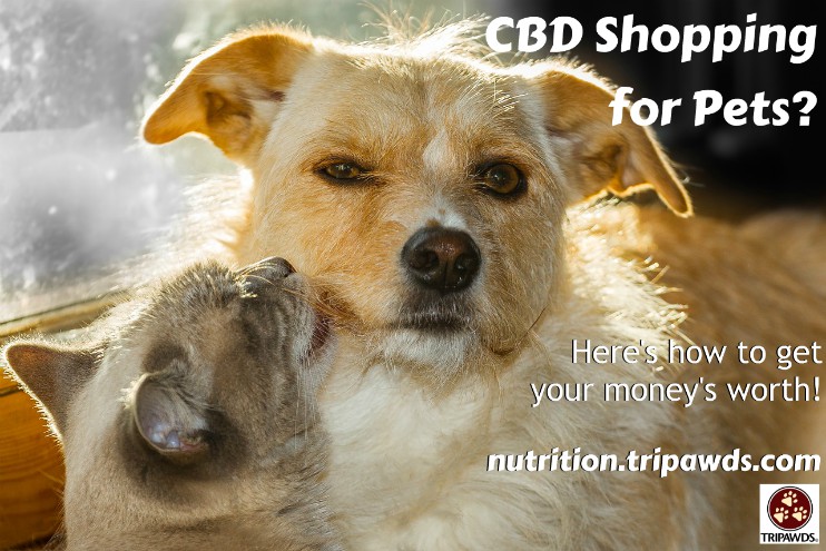 CBD for Pets Shopping Tips