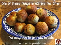 Give Pills to Dogs and Cats the Easy Way Give Pills to Dogs and Cats
