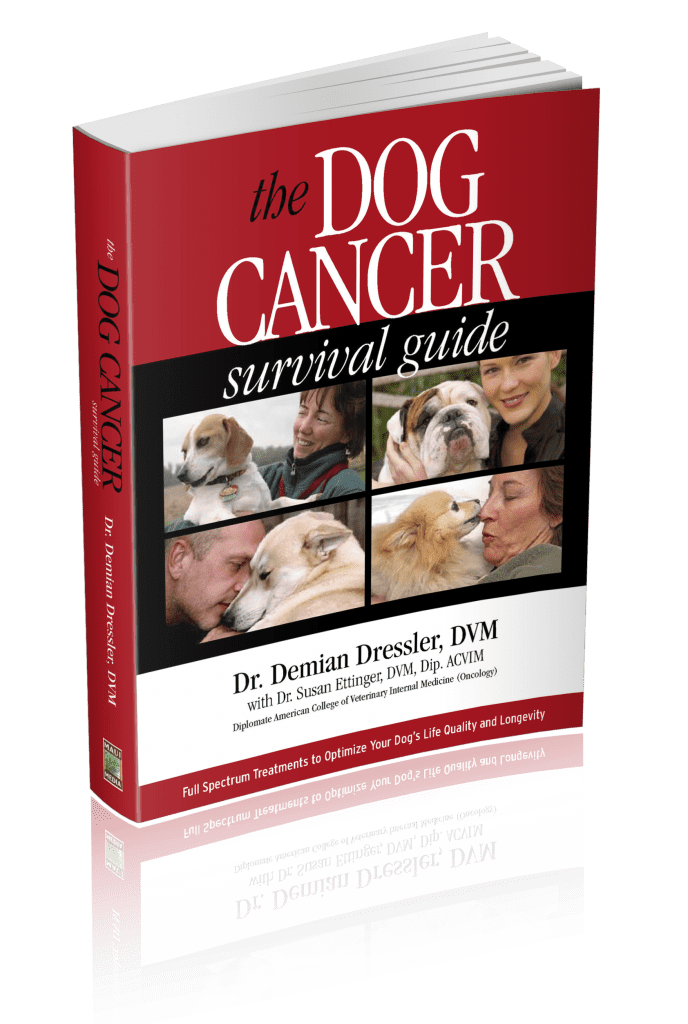 Dog Cancer Survival Guide