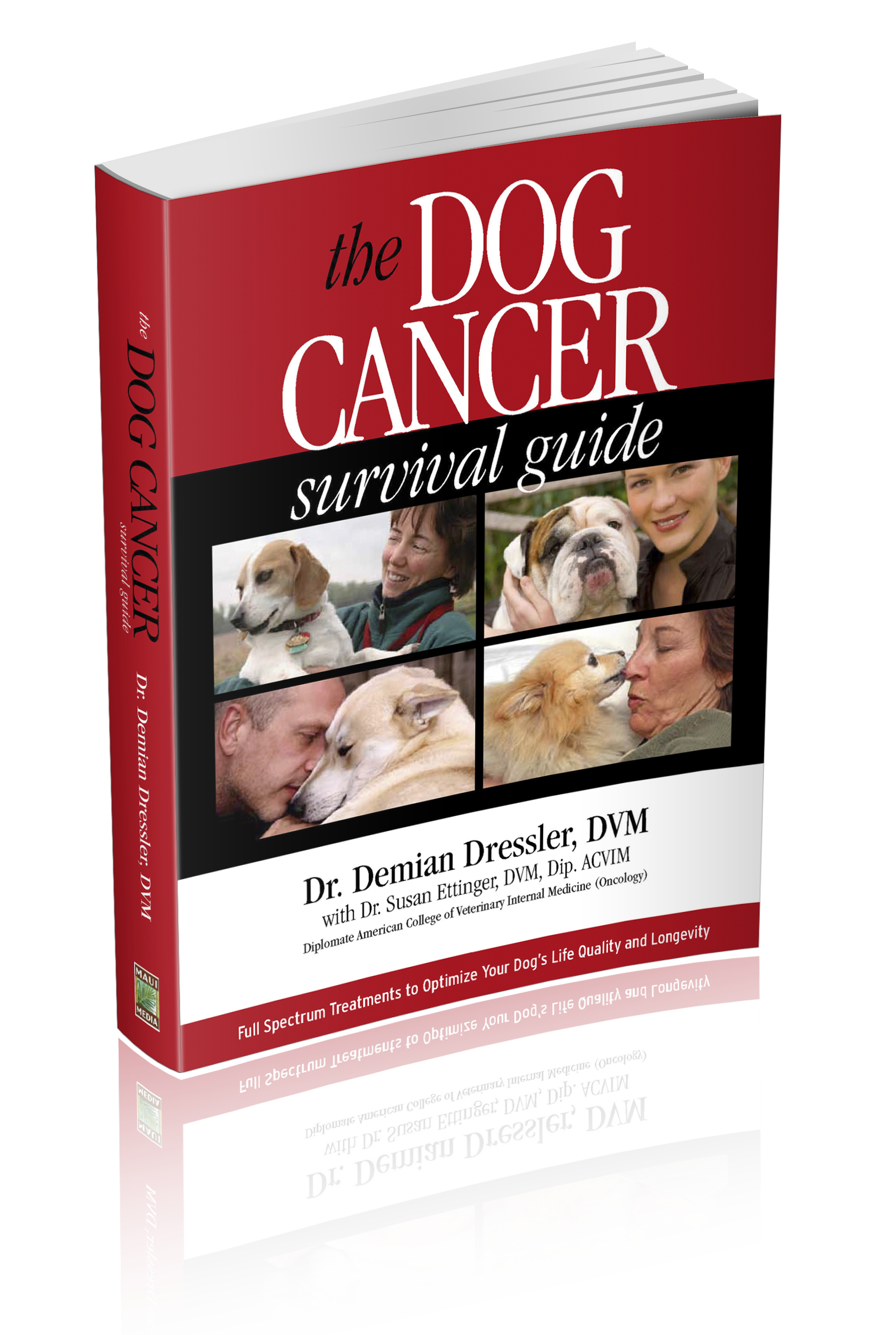 dog cancer diet ideas