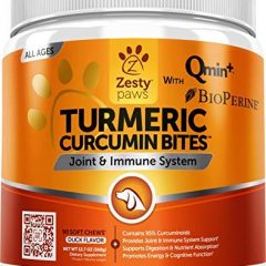 Curcumin Bites