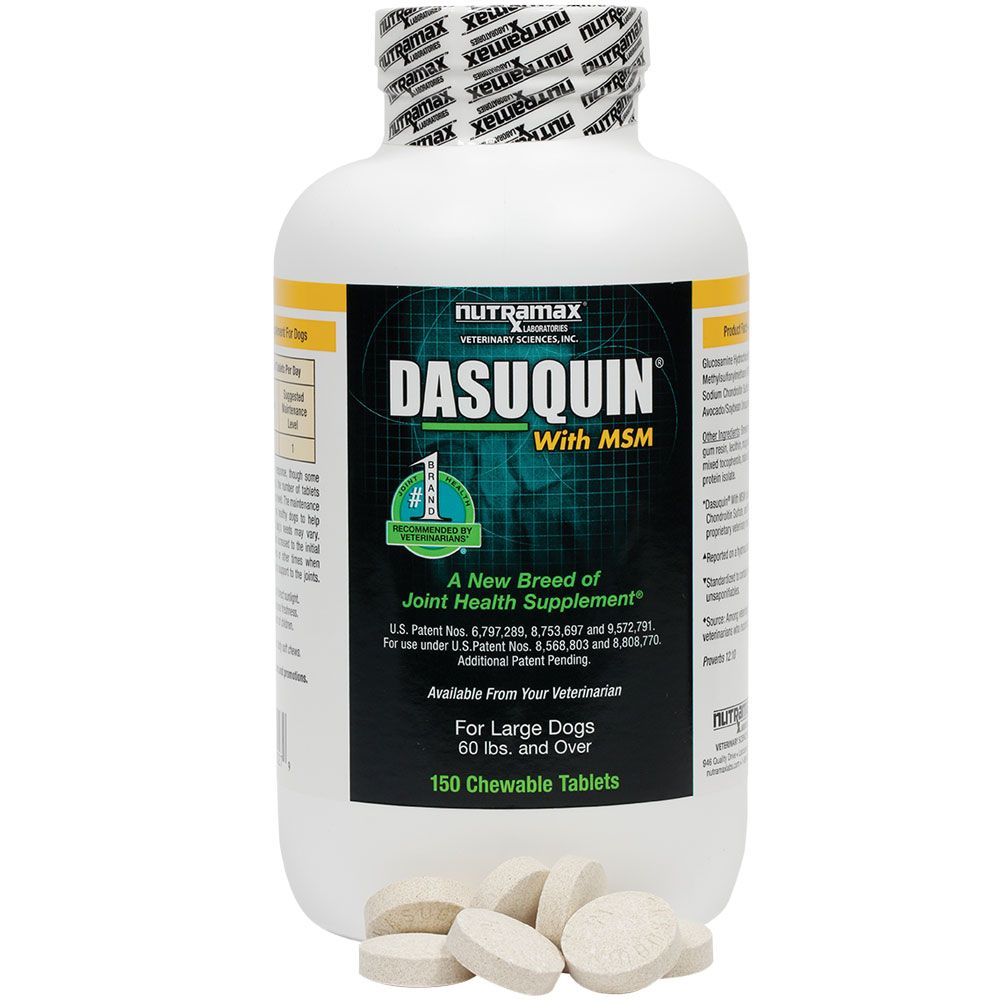 Dasuquin joint support for dogs