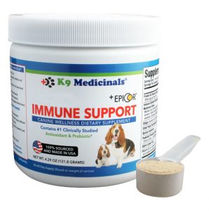 How to Support a Dog’s Immune System Without Pills – Tripawds Nutrition