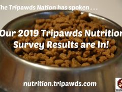 Get the Scoop: Tripawds Nutrition Survey Results are In! Tripawds Nutrition Survey Results