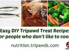 Easy DIY Tripawd Treats for People Who Hate to Cook DIY Tripawd Treat Recipes