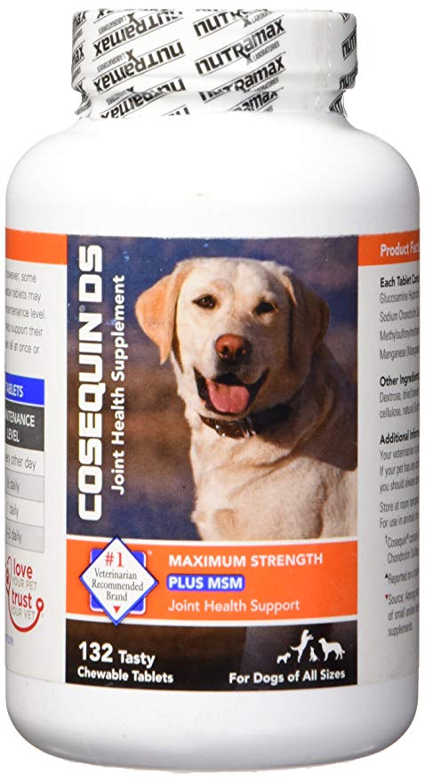 cosequin ds plus msm for dogs
