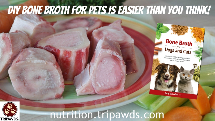 41 Top Images Chicken Broth For Cats Recipe : Bone Broth Recipes For Dogs Animal Wellness Magazine