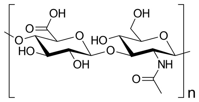 hyaluronic pet supplements