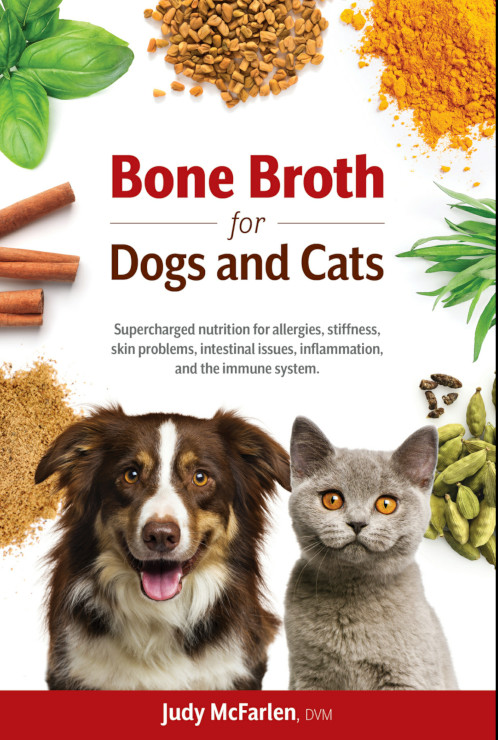 Make Homemade Bone Broth for Pets