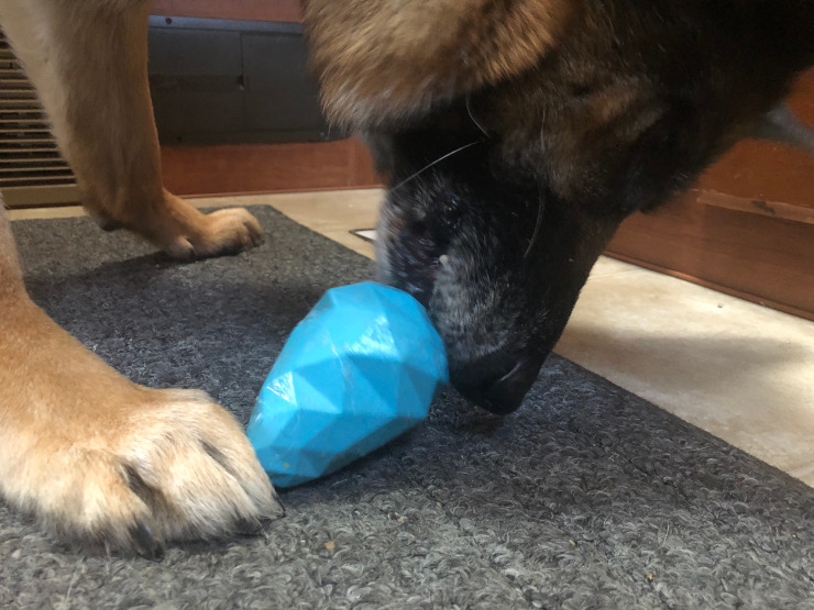 natural latex dog toy with sweet potato treats