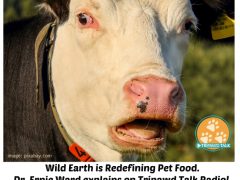 Wild Earth Debunks Vegan Dog Food Controversy vegan dog food, wild earth