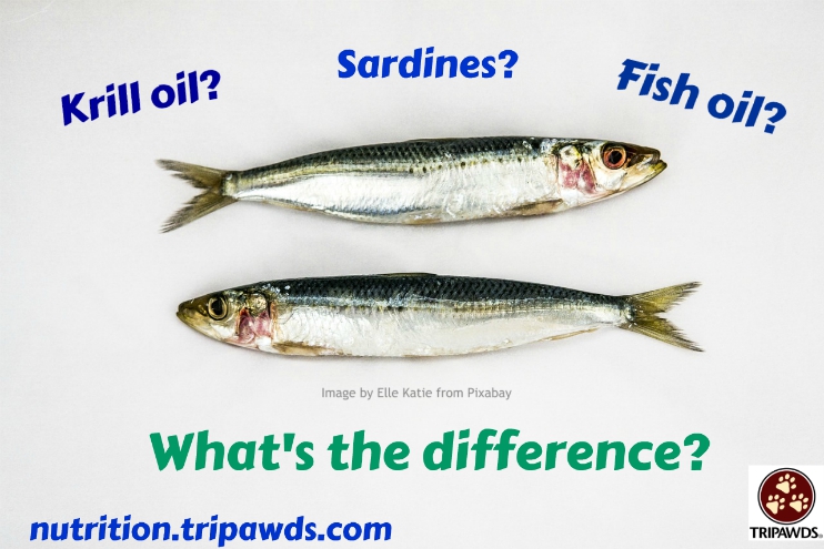 Sardines, Fish and Krill Oils for Dogs and Cats