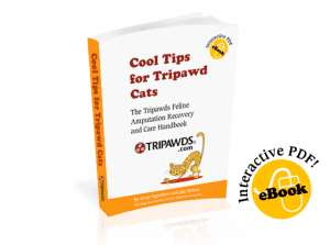 Tripawds Cat guide book