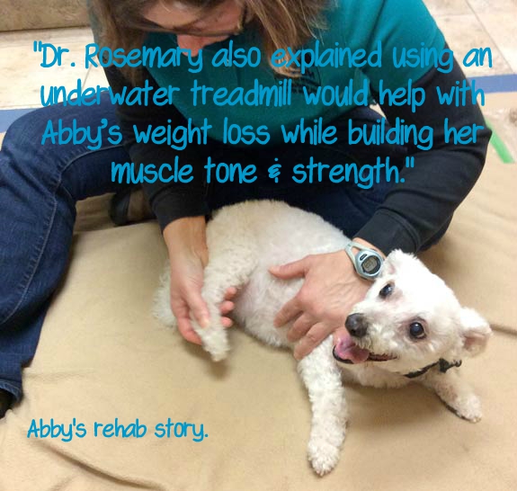 Abby Tripawd weight loss tips