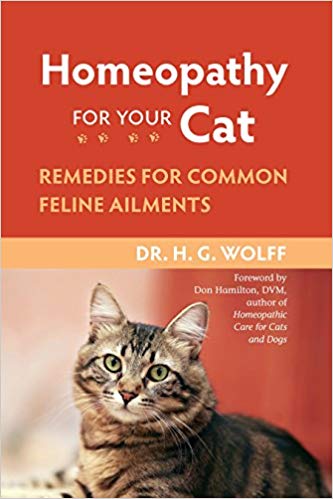 homeopathy for cats