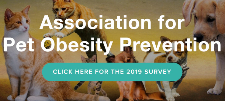 pet obesity survey