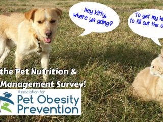 Pet Nutrition and Weight Management Survey!