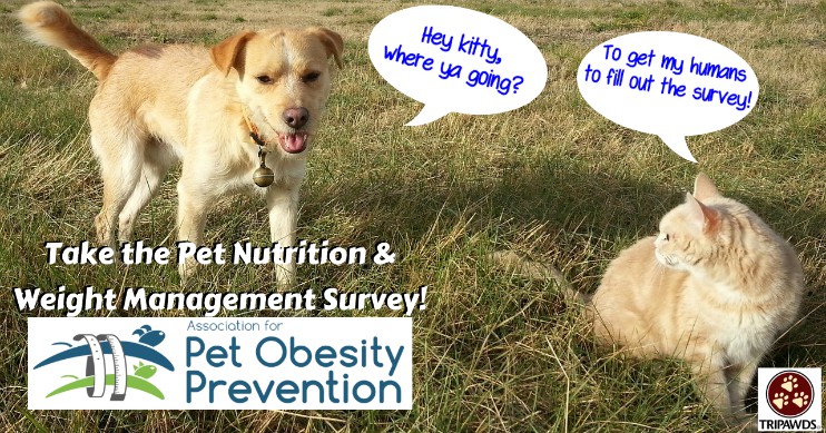  Pet Nutrition and Weight Management Survey!