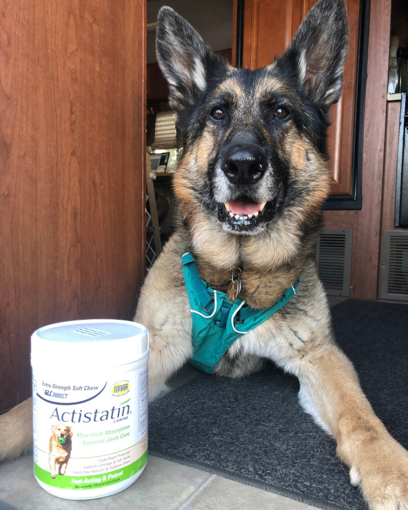 Tripawd joint support supplement