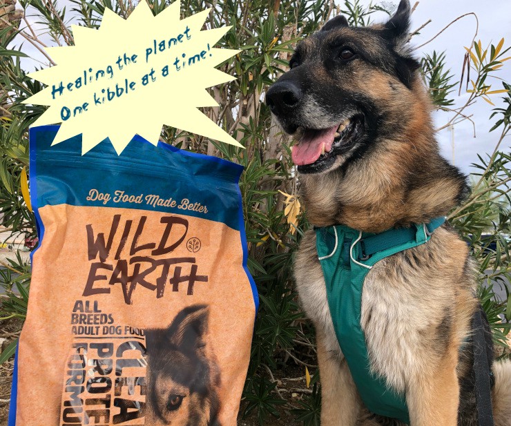 Wild Earth pet food coupon