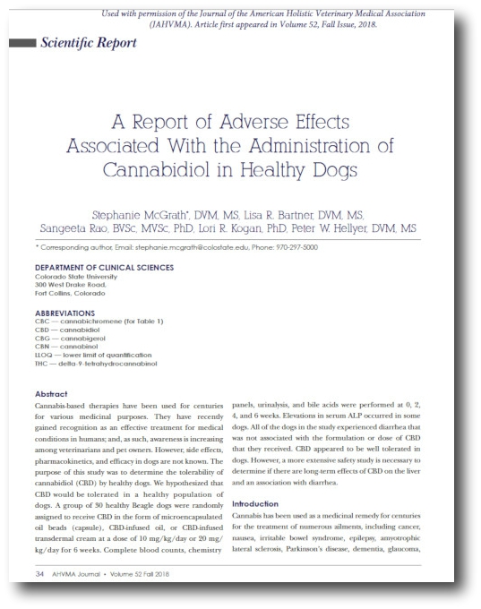 Cannabis Side Effects Study