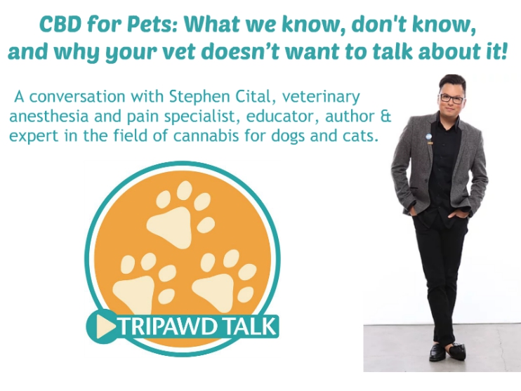 Truth about CBD for pets 