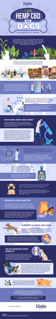 CBD for dogs infographic
