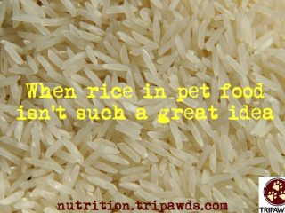 rice and arsenic in pet food