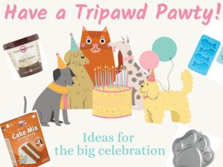 Have a DIY Tripawd Party