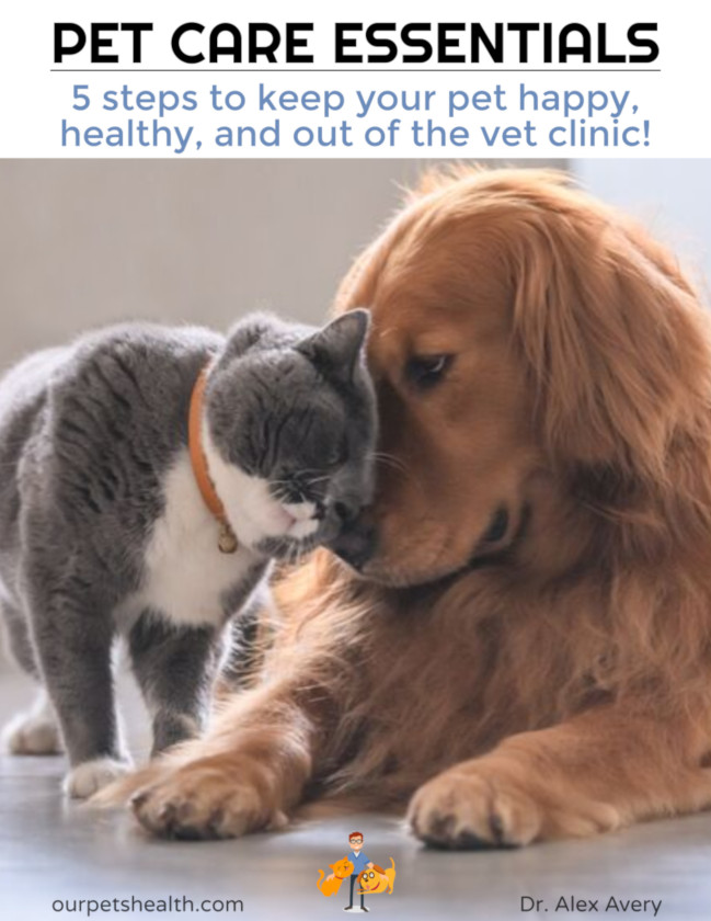 Download Pet Care Essentials Guide