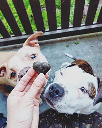 Shameless upcycled dog treats