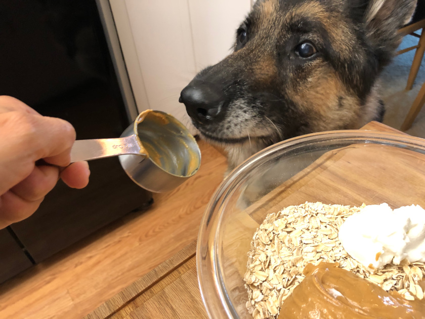 healthy dog treat recipe