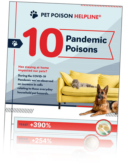 pandemic pet poisons