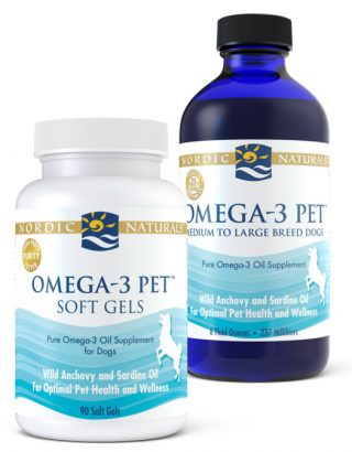 Snapshot of Nutrition For Dogs With Osteosarcoma