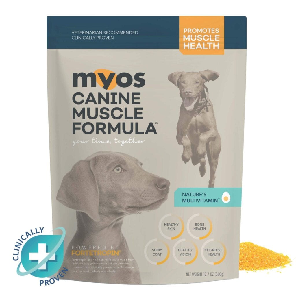 Muscle powder for dogs best sale