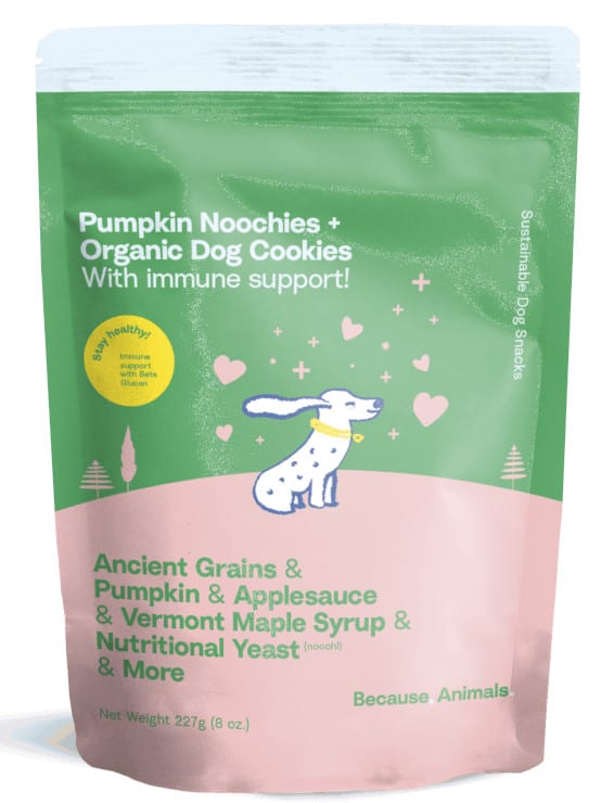 Pumpkin Noochies plant based pet treats coupon