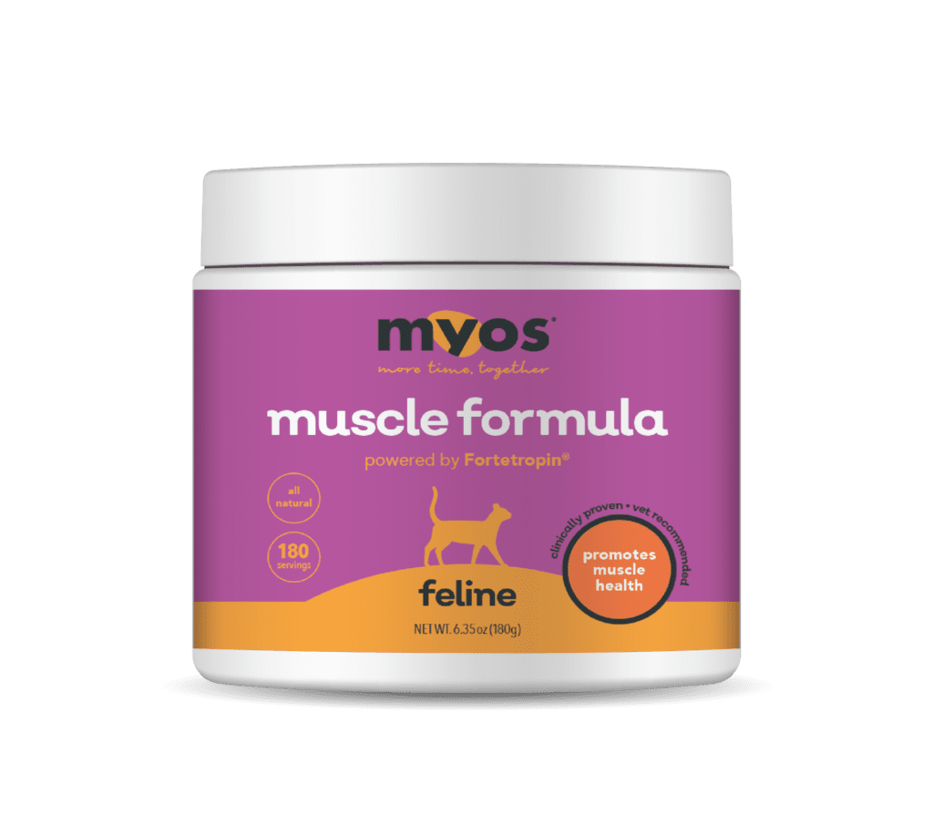 muscle building formula for cats