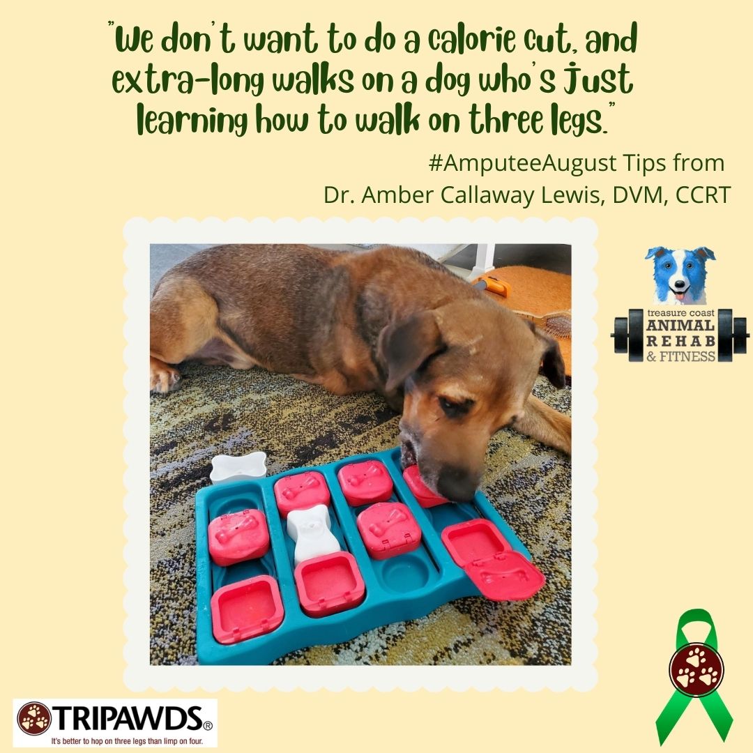 eating and exercise tips for Tripawds