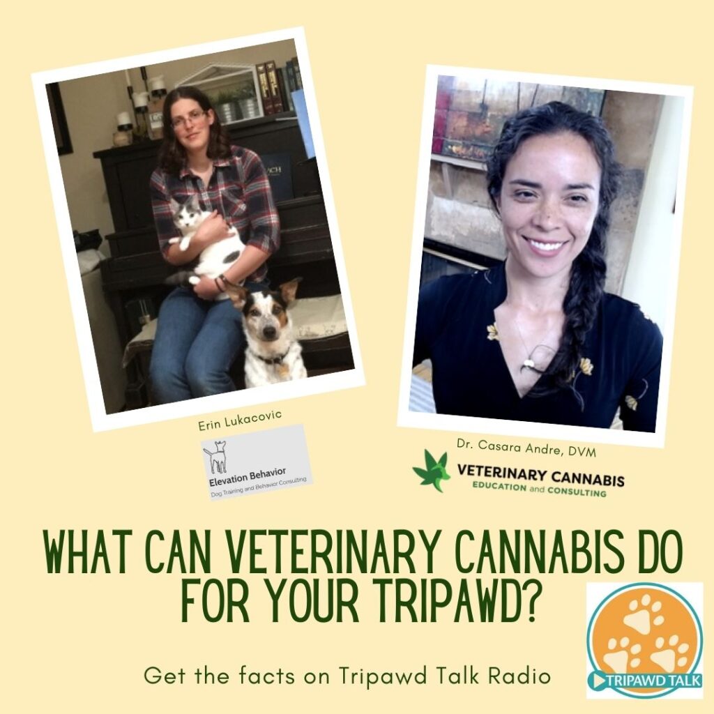 veterinary cannabis for pets